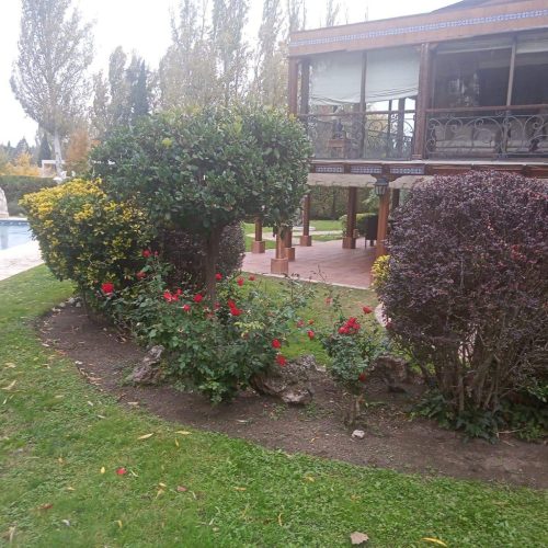 IMG-20250204-WA0006